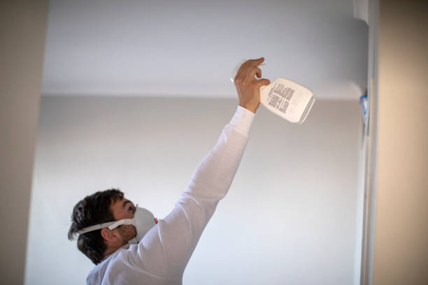 Best Best Mold Removal Companies  in Bacliff, TX