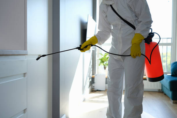 Best Mold Testing  in Bacliff, TX